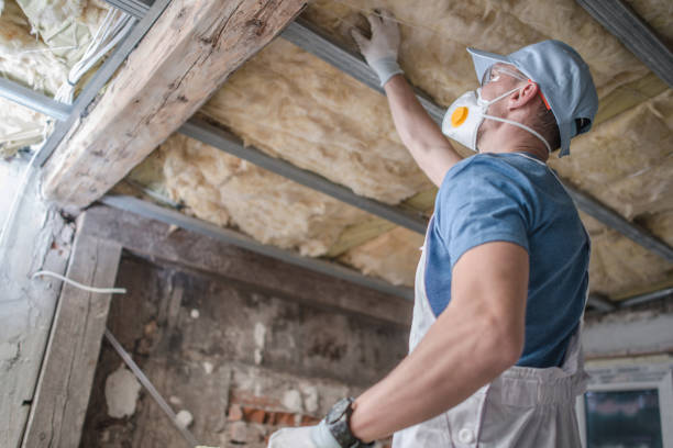 Best Residential Insulation in Wanakah, NY
